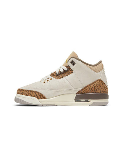 Air Jordan 3 Retro Palomino 2023